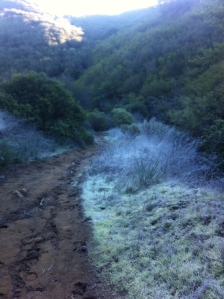Frost on the Tapia section in December