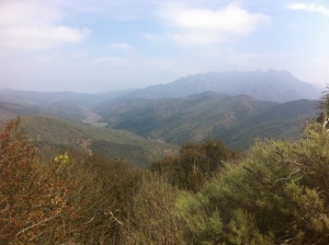 Overlook Road looking into Sycamore canyon